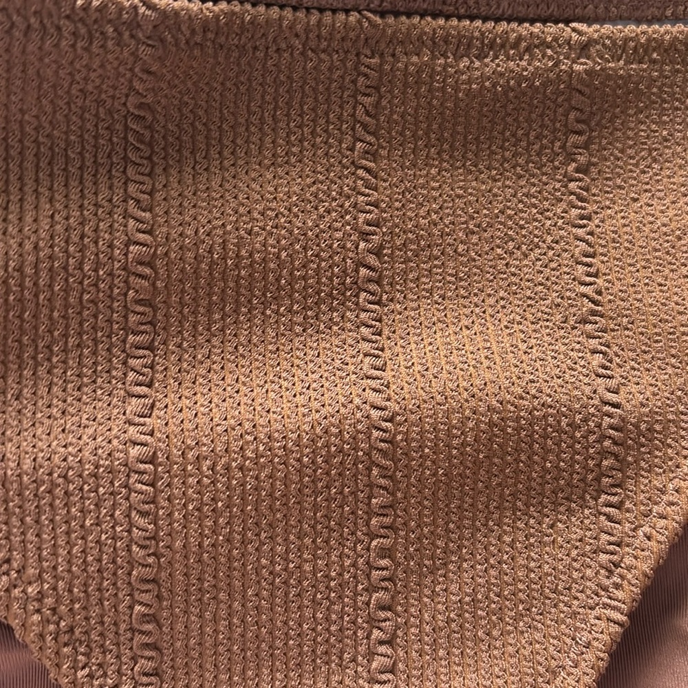 NWT Aerie Brown Ribbed Bikini Bottoms Size L - Picture 3 of 9